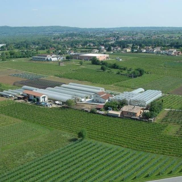 Azienda Agricola Ortoflor Pandolfo - Immagine 1
