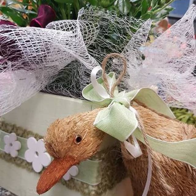 Azienda Agricola Ortoflor Pandolfo - Immagine 2