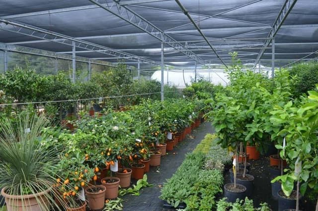 Azienda Agricola Ricotti - Immagine 1