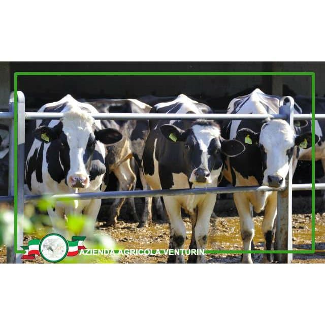 Azienda Agricola Venturin - Immagine 1