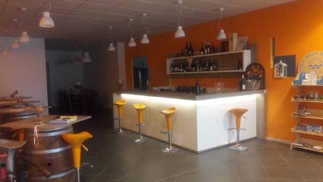 Azienda Vinicola Mattarelli - Immagine 2
