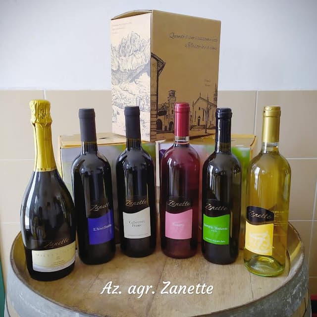Azienda Vitivinicola Zanette Giovanni - Immagine 2