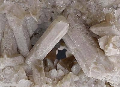 Baitech - Immagine 1