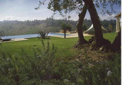 Bezzini Garden Progettazione Giardini - Immagine 1