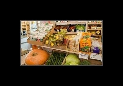 Bio Bio - Immagine 2