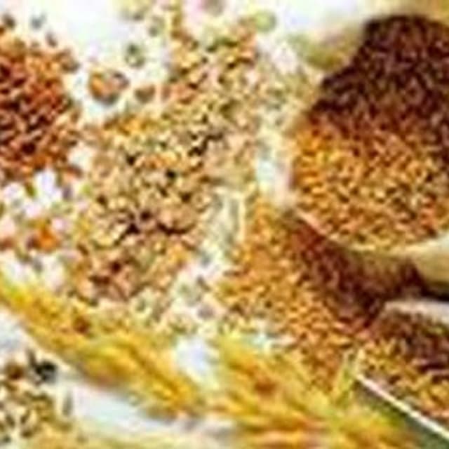 Biopack Italia Sas - Immagine 1