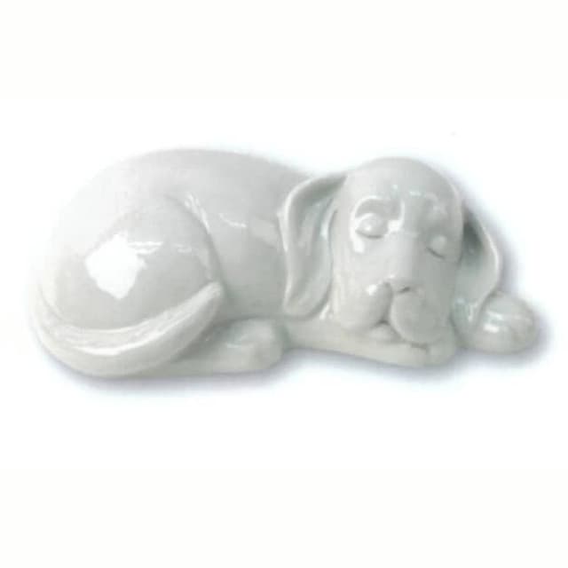 Blue Pet Srl Cremazione Animali-Forno Crematorio Pet - Immagine 1