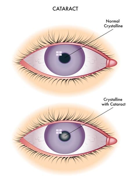 Borgia Dott. Luigi Oculista - Immagine 2