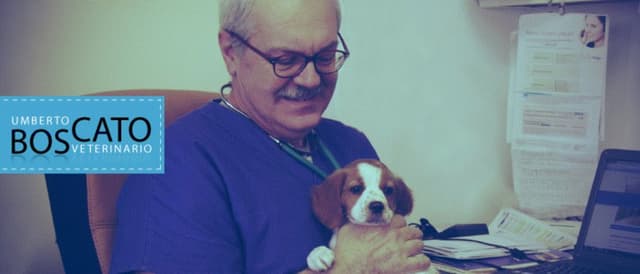 Boscato Dr. Umberto Ambulatorio Veterinario per Cani e Gatti - Immagine 1