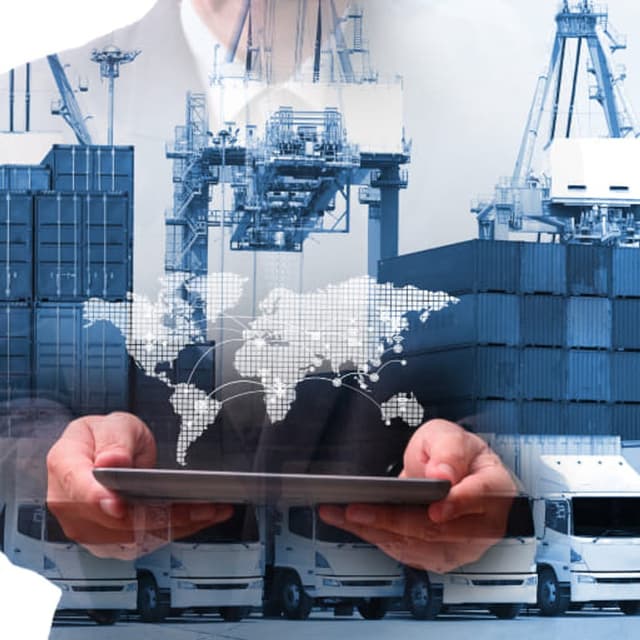 C e L Services - Immagine 2