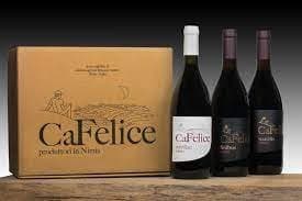 Cafelice Società Agricola - Immagine 2