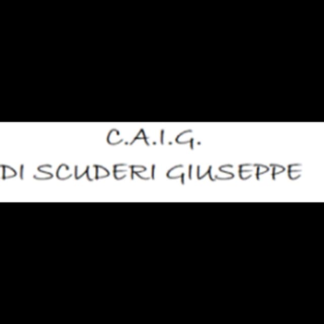 C.A.I.G. - Immagine 1