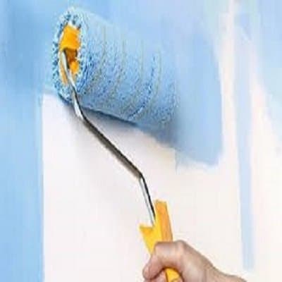 Caiticolor - Immagine 2