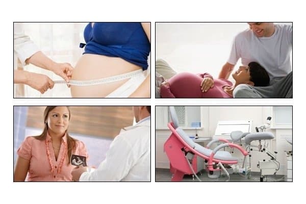 Calò Aurelio Dott. Giovanni - Immagine 2