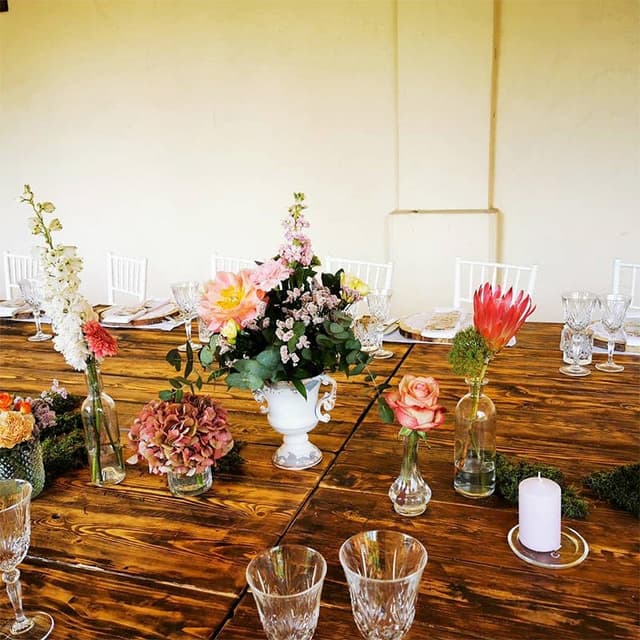 Camelia Fiori Art Style - Immagine 2