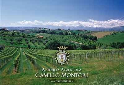 Camillo Montori Azienda Agricola - Immagine 1