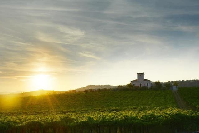 Cantina Di Biase - Immagine 1