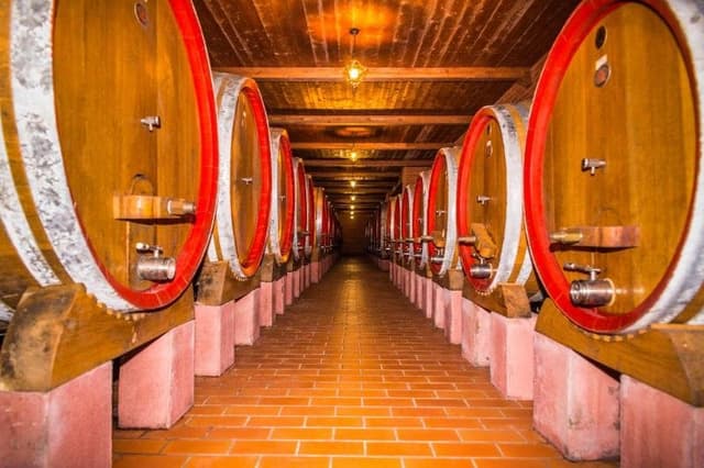 Cantina Di Biase - Immagine 2
