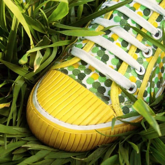 Cappelletti di Falziroli Monica - Immagine 2