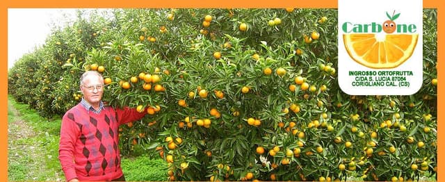 Carbone Raffaele & Figli - Immagine 2