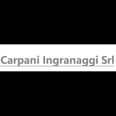 Carpani Ingranaggi Srl - Immagine 1