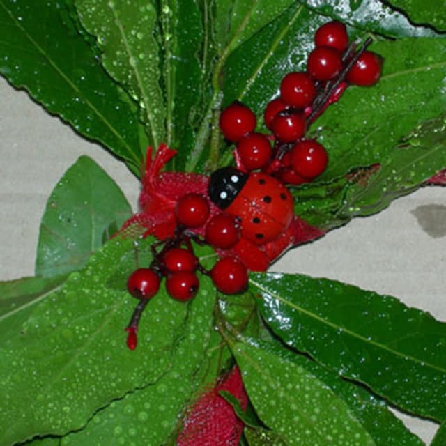Casa del Fiore di Napoli Donatella - Immagine 1