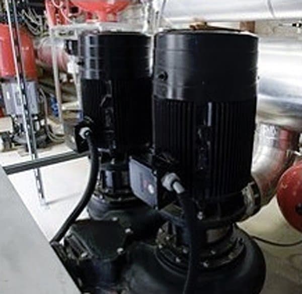 Casadei e Pellizzaro - Immagine 1