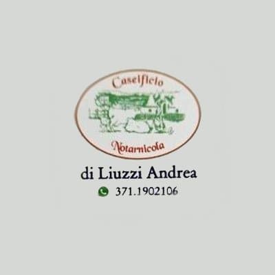 Caseificio Notarnicola di Liuzzi Andrea - Immagine 2