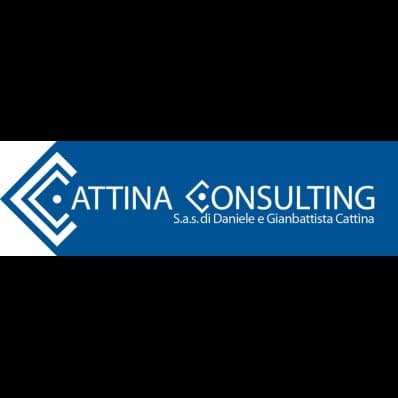 Cattina Consulting - Immagine 1