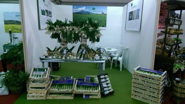 Cavallaro Prodotti Ortofrutticoli-F.lli Cavallaro Soc. Agr. S.r.l. - Immagine 1