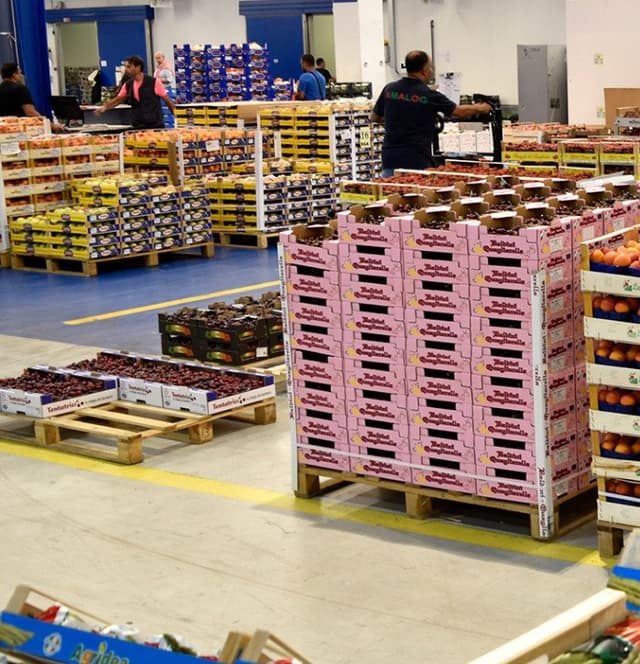 Cenerini SpA - Immagine 1