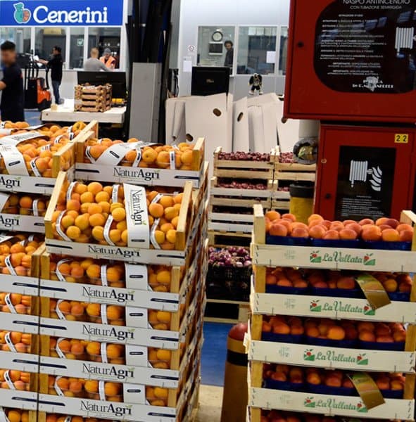 Cenerini SpA - Immagine 2