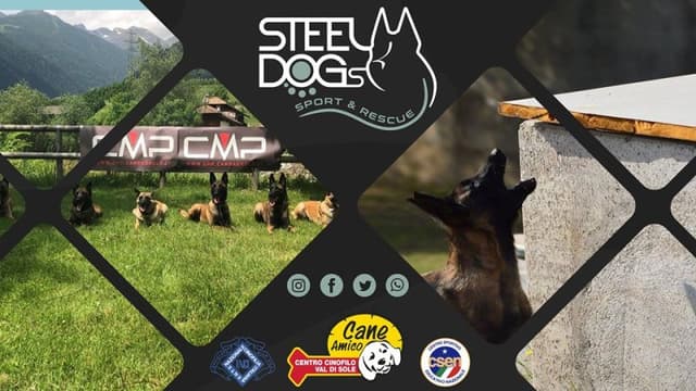 Centro Cinofilo Cane Amico Val di Sole - Immagine 2