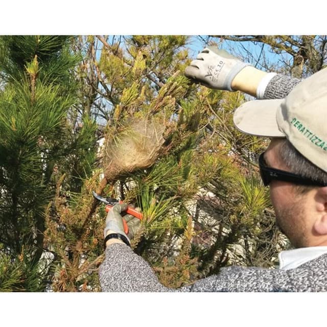 Centro di Lotta Antiparassitaria - Immagine 2