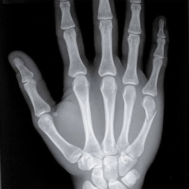 Centro Diagnostico Spezzino - Immagine 1