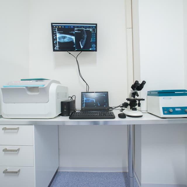 Centro Medico Veterinario Temesa Dott. Salvatore Benvenuto - Immagine 1