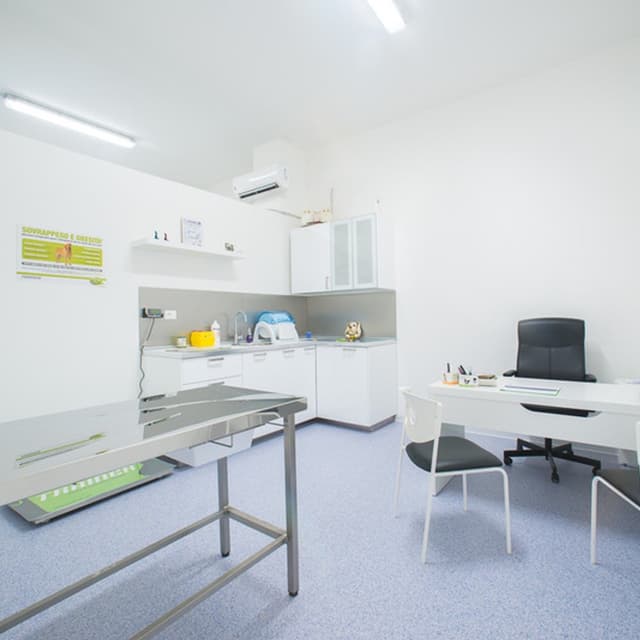 Centro Medico Veterinario Temesa Dott. Salvatore Benvenuto - Immagine 2