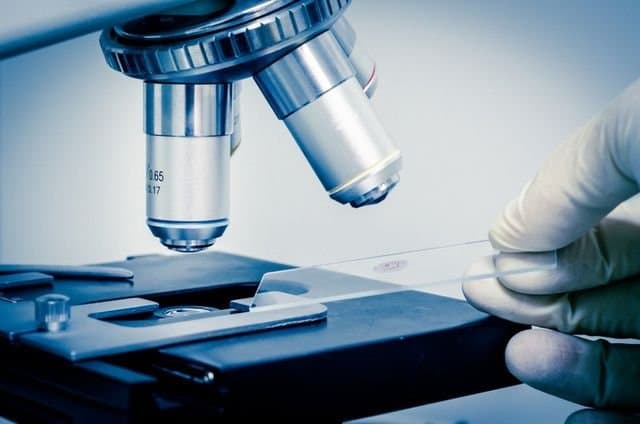 Centro Riproduzione Umana Messina Reggio Calabria - Immagine 1