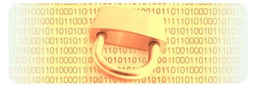 Computer Sistem - Immagine 2