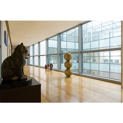 Copura Cooperativa Pulizie Ravenna - Immagine 2