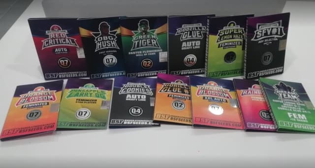 Cultura Indoor - Immagine 1