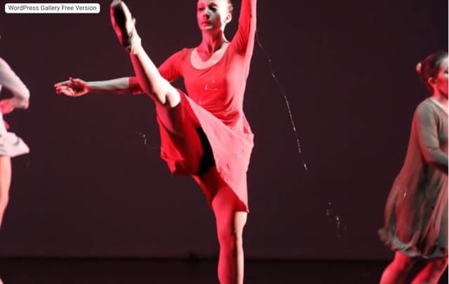 Danzarte - Scuola di Danza - Immagine 1