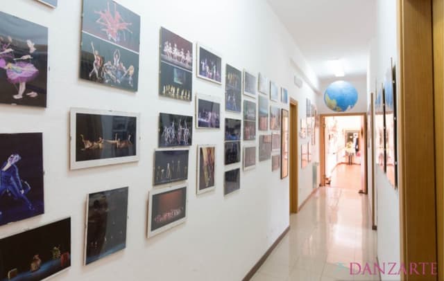 Danzarte - Scuola di Danza - Immagine 2
