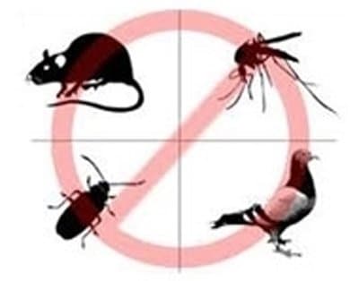 D.C.D. Torino Disinfestazioni - Immagine 1