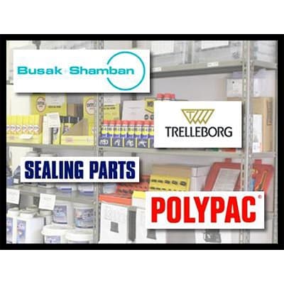 Dilanda - Immagine 2