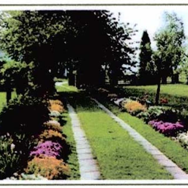 Ebf - Piante e Vivai - Immagine 1