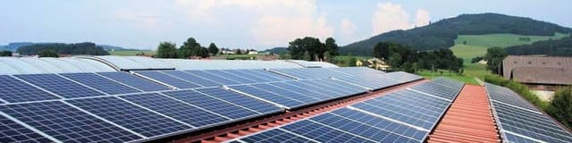 Elle Gi Srl - Immagine 1