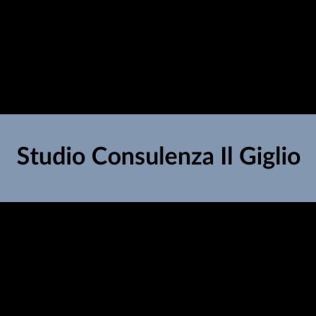 Enavolt-Studio Consulenza Il Giglio - Immagine 1