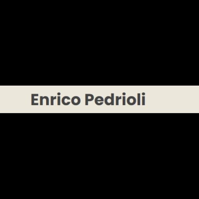 Enrico Pedrioli - Immagine 2