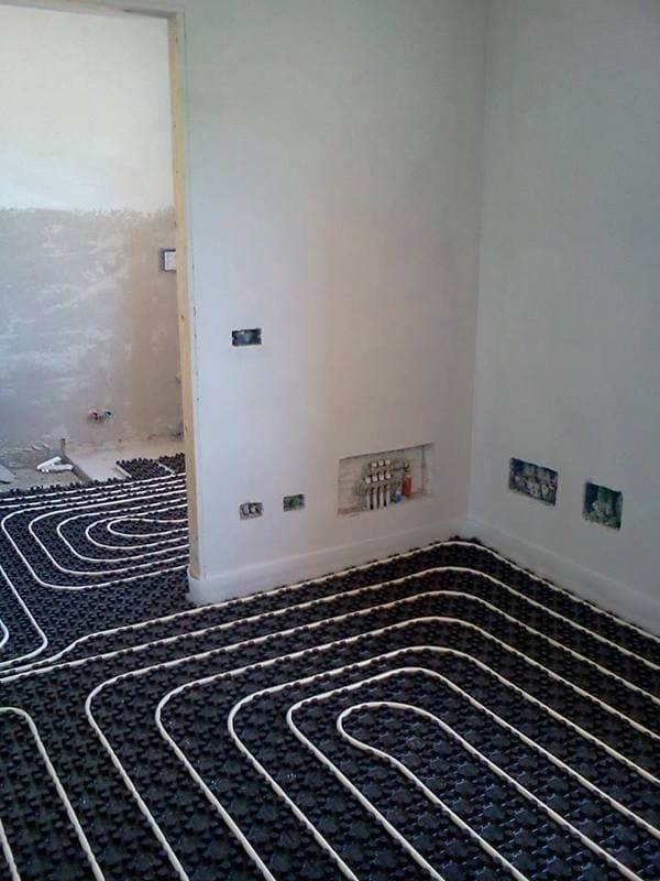 Fava Termotecnica - Immagine 1